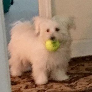 Meet your Posher, Barbara